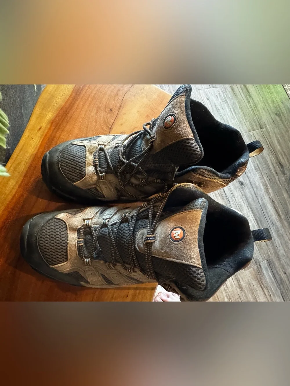 Merrell Brown and Black Men's Hiking Boots - Mid-Top Trail Shoes